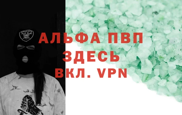дживик Инта