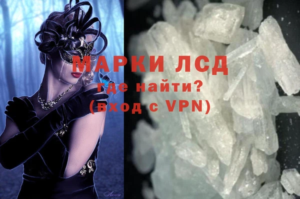 шишки Инсар