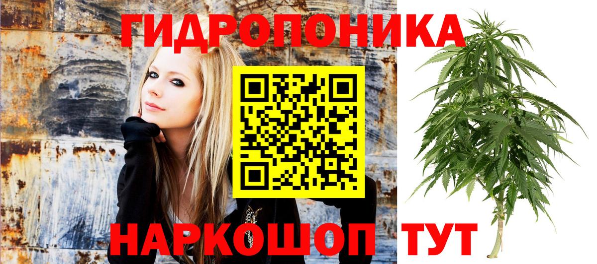 Бошки Шишки индика Арзамас